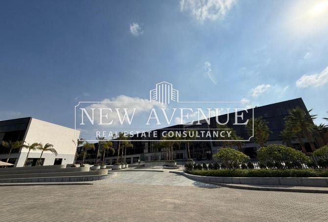 53466743 - Property Image 2