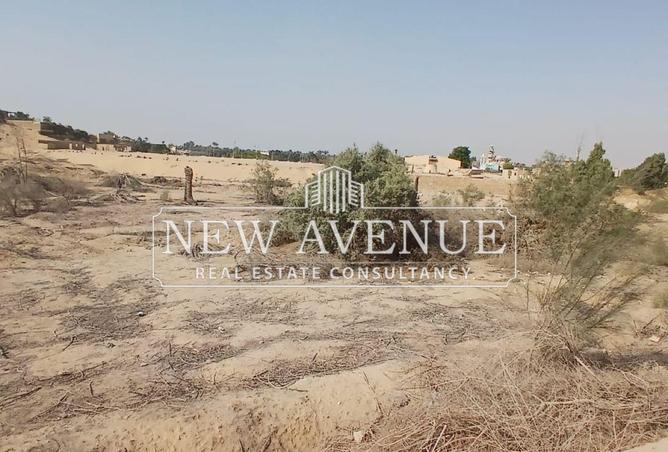 52970040 - صورة العقار 3