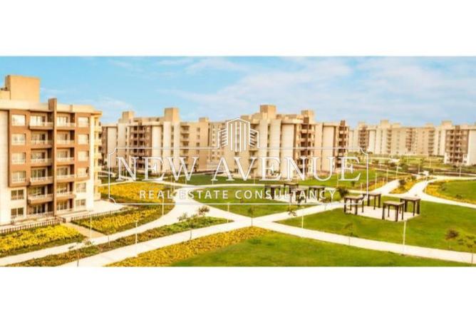 8675563 - صورة العقار 3