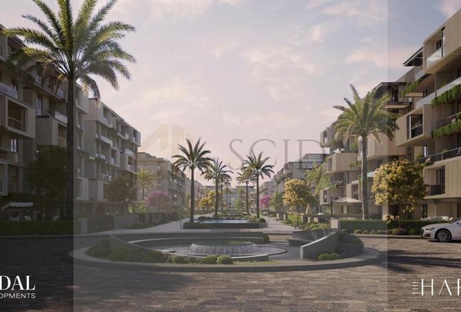 57232661 - Property Image 3