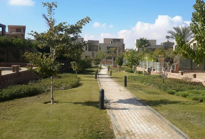 52455624 - صورة العقار 3