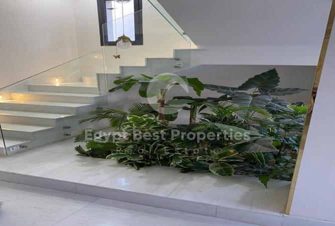 68796937 - Property Image 3