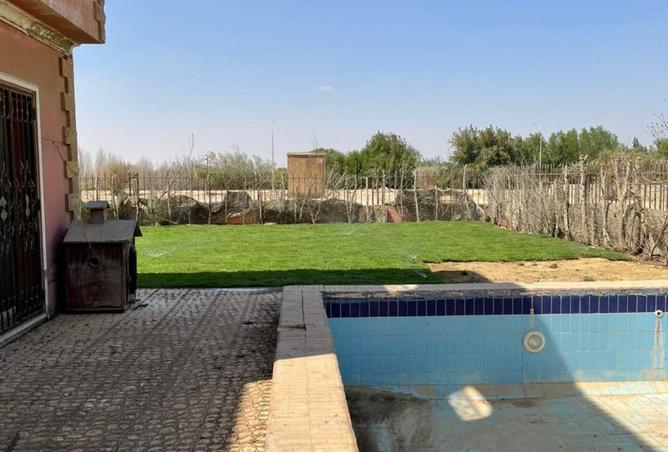 64381122 - Property Image 2