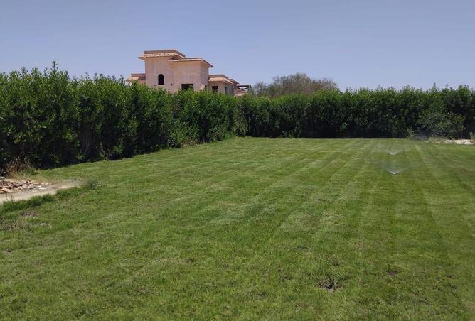 64381122 - Property Image 3