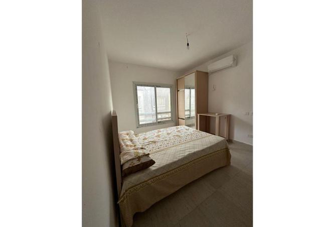 8626039 - Property Image 3