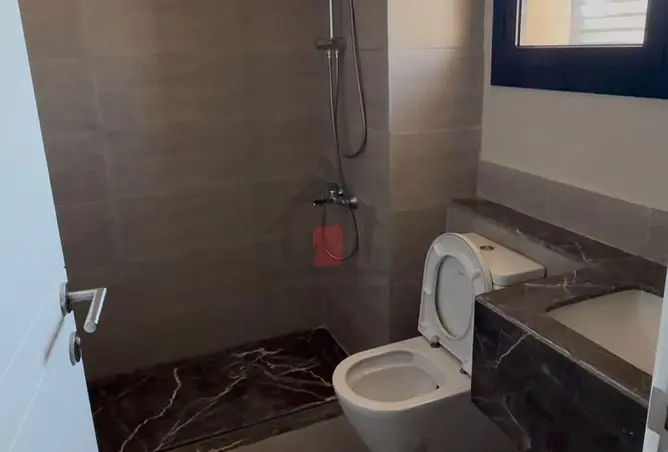 116747984 - Property Image 3