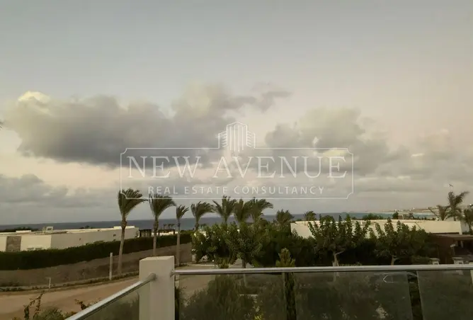 119070684 - Property Image 3