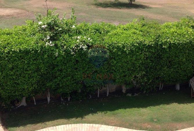 67998155 - صورة العقار 2