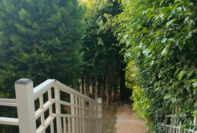 8707496 - صورة العقار 3