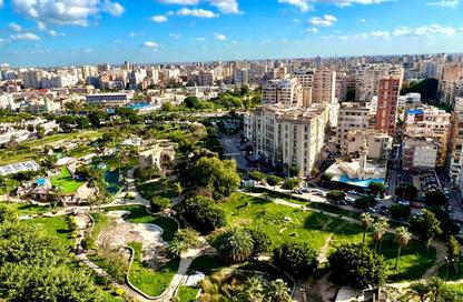 Apartment - 3 Bedrooms - 3 Bathrooms for sale in Champollion St. - Azarita - Hay Wasat - Alexandria