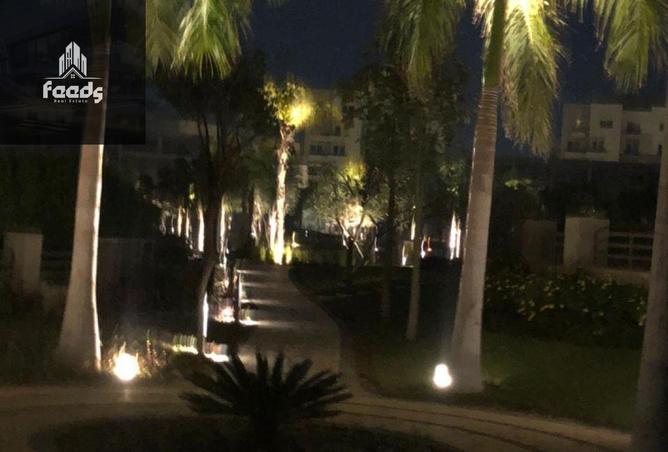 57239244 - صورة العقار 3