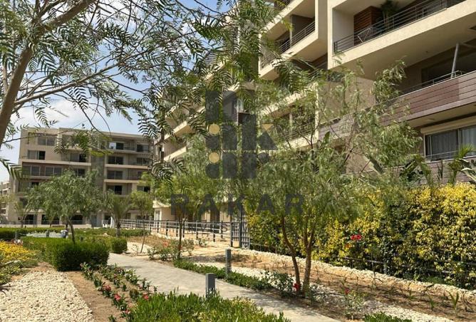 52456206 - صورة العقار 3