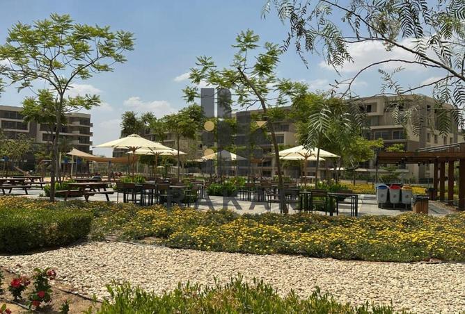 52456206 - صورة العقار 2