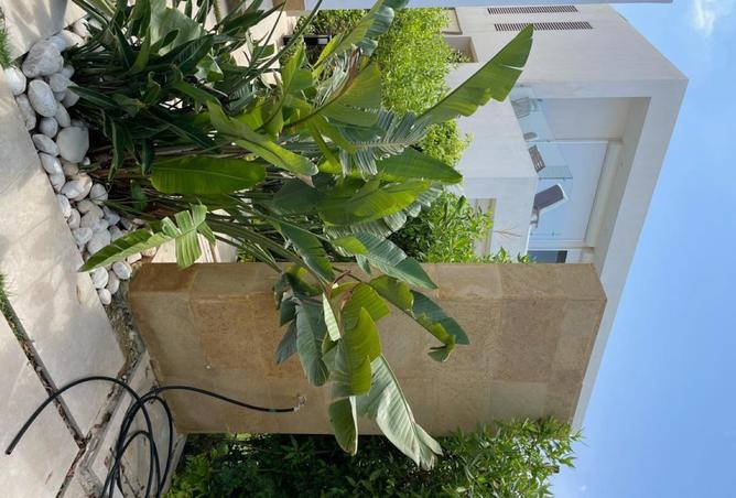 54751844 - صورة العقار 3