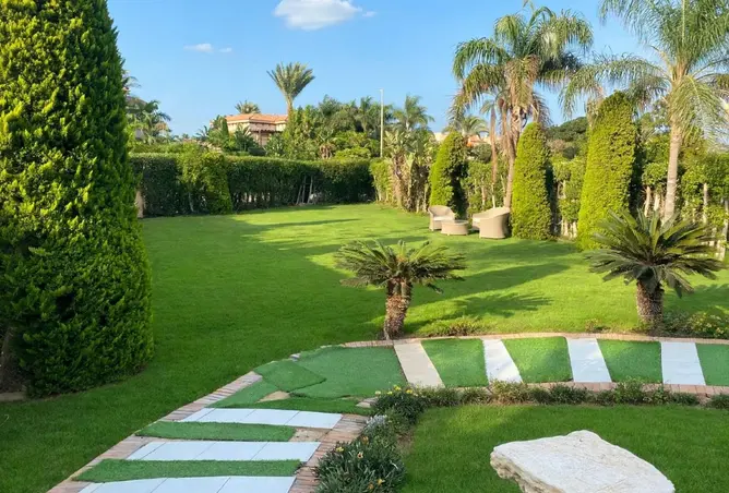 121653591 - صورة العقار 3