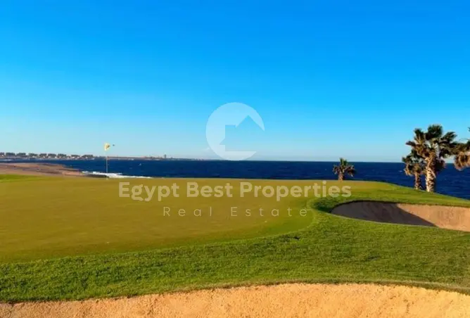 109926838 - صورة العقار 3