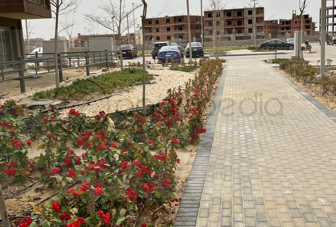 107399614 - Property Image 2
