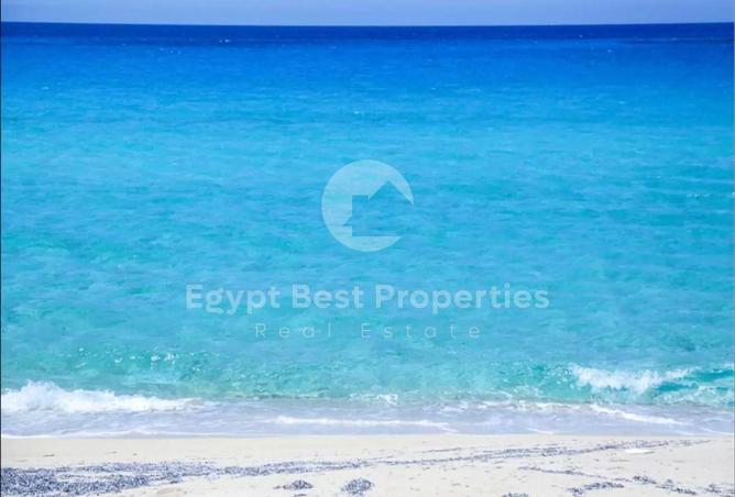 64392447 - Property Image 3