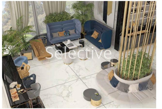 53726781 - Property Image 2