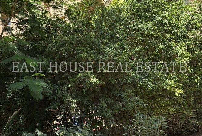 58007052 - صورة العقار 3