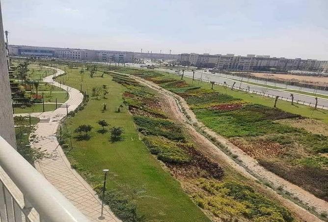 100648890 - صورة العقار 3