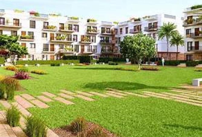 56496233 - صورة العقار 3