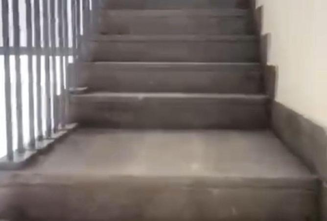 8699066 - صورة العقار 3