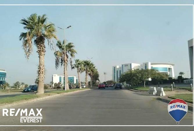 55502490 - صورة العقار 3