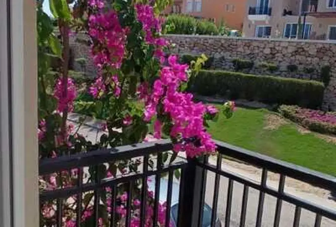 81822816 - Property Image 2