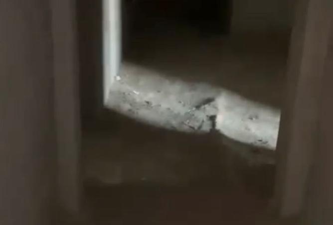 91567840 - Property Image 3