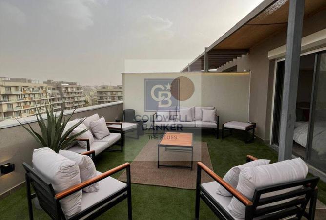 99800741 - Property Image 3