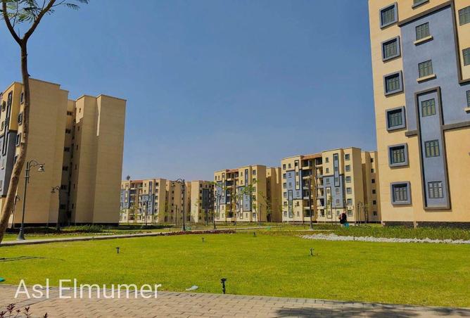 80254101 - صورة العقار 2