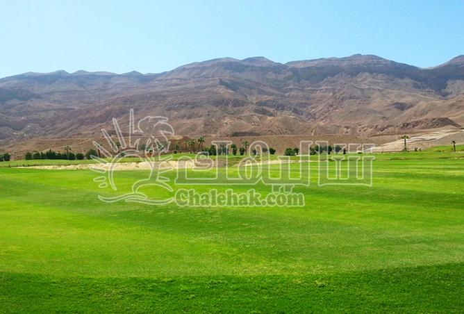 103757410 - صورة العقار 3