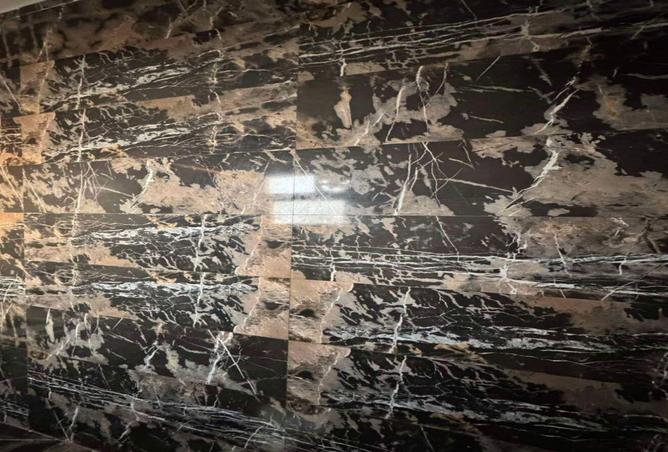 8672611 - Property Image 3