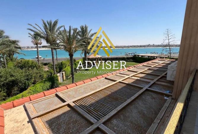 66168759 - صورة العقار 3