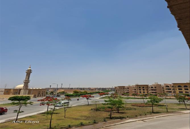 80784735 - صورة العقار 3