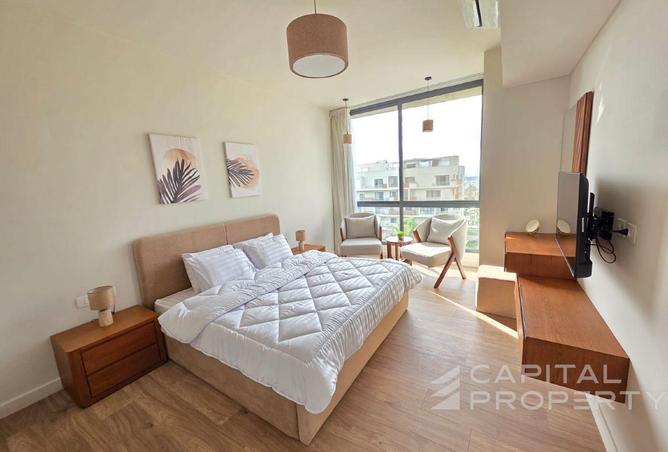 65923392 - Property Image 3