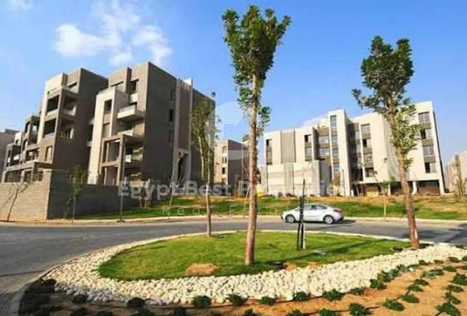 54500950 - Property Image 2