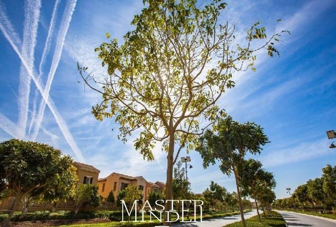 54503047 - Property Image 3