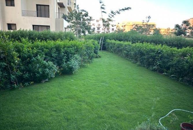 61687745 - صورة العقار 2