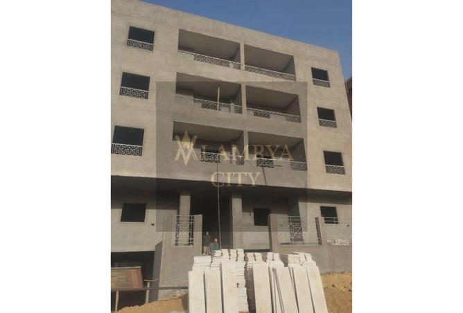 8596165 - Property Image 3