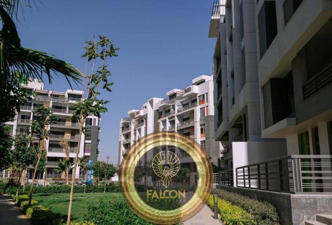 62891446 - Property Image 3