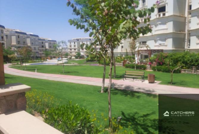 72436304 - Property Image 3