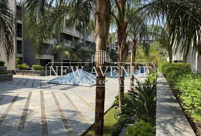 58981505 - Property Image 3