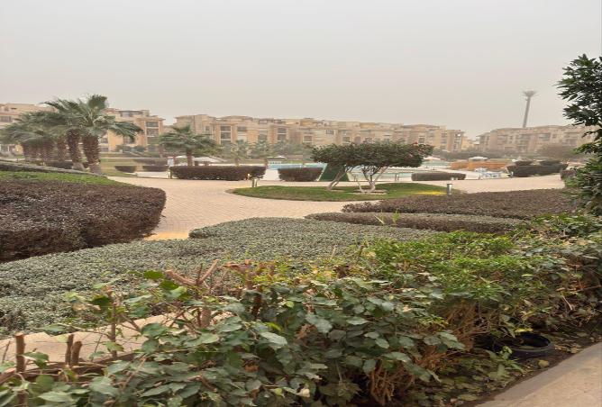 54757399 - Property Image 3