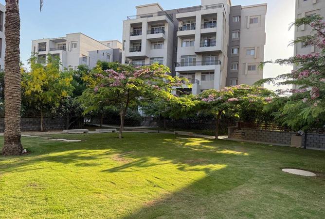 66699995 - Property Image 3