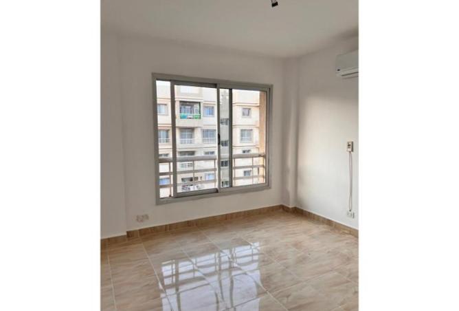 8496252 - Property Image 3