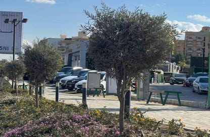 كافتيريا - استوديو - 1 حمام للايجار في طريق وصلة دهشور - الحزام الاخضر - مدينة 6 أكتوبر - الجيزة