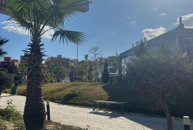 58249259 - الصورة الرئيسية للعقار