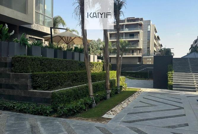 56502215 - Property Main Image